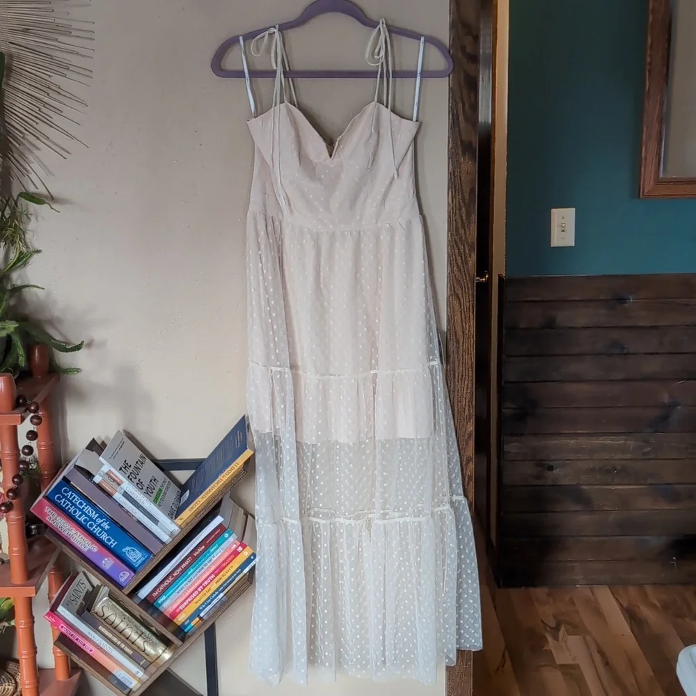 Lulu's Polka Dot Sheer Teired Maxi Dress - Picture 4 of 9